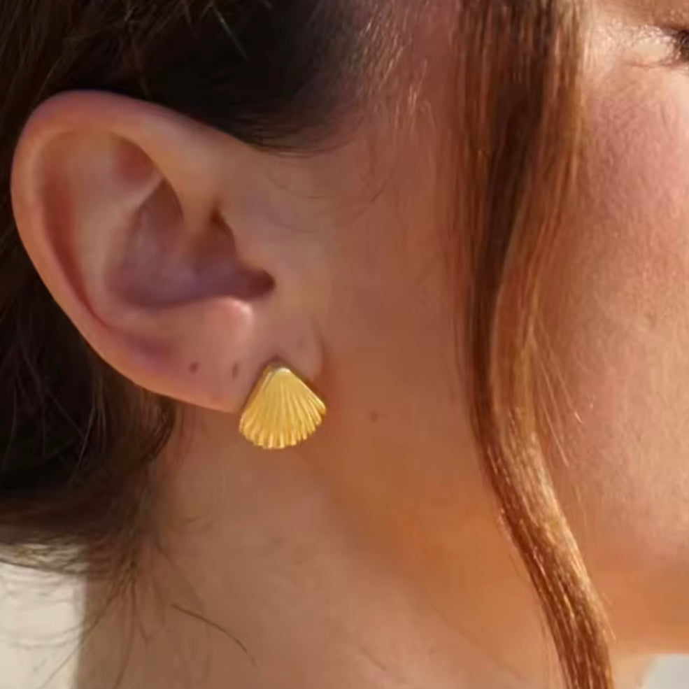 ARETES CORAL