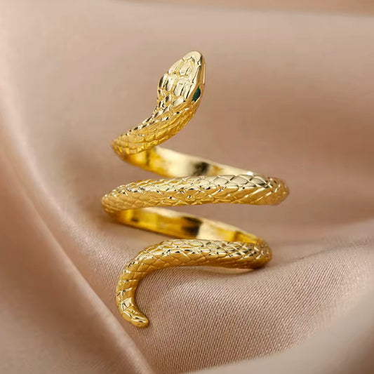 ANILLO SS