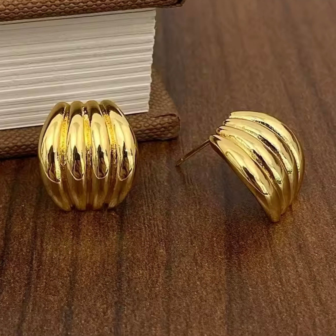 ARETES CAMILA